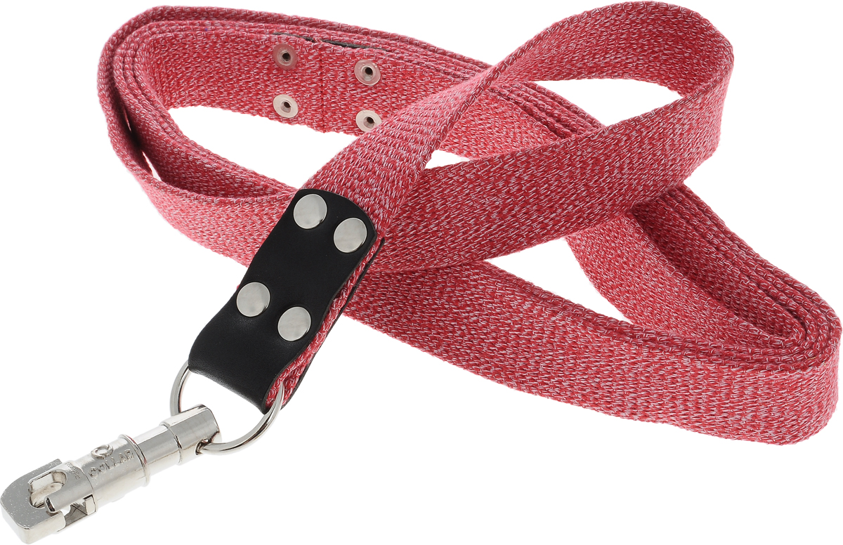 Поводок для собак CoLLaR, цвет: красный, ширина 3,5 см, длина 3 м03453 Поводок для собак CoLLaR, цвет: красный, ширина 3,5 см, длина 3 м03453Поводок для собак CoLLaR изготовлен из хлопка и снабжен металлическим карабином. Поводок отличается не только исключительной надежностью и удобством, но и ярким дизайном. Он идеально подойдет для активных собак, для прогулок на природе и охоты. Поводок - необходимый аксессуар для собаки. Ведь в опасных ситуациях именно он способен спасти жизнь вашему любимому питомцу. Длина поводка: 3 м. Ширина поводка: 3,5 см.