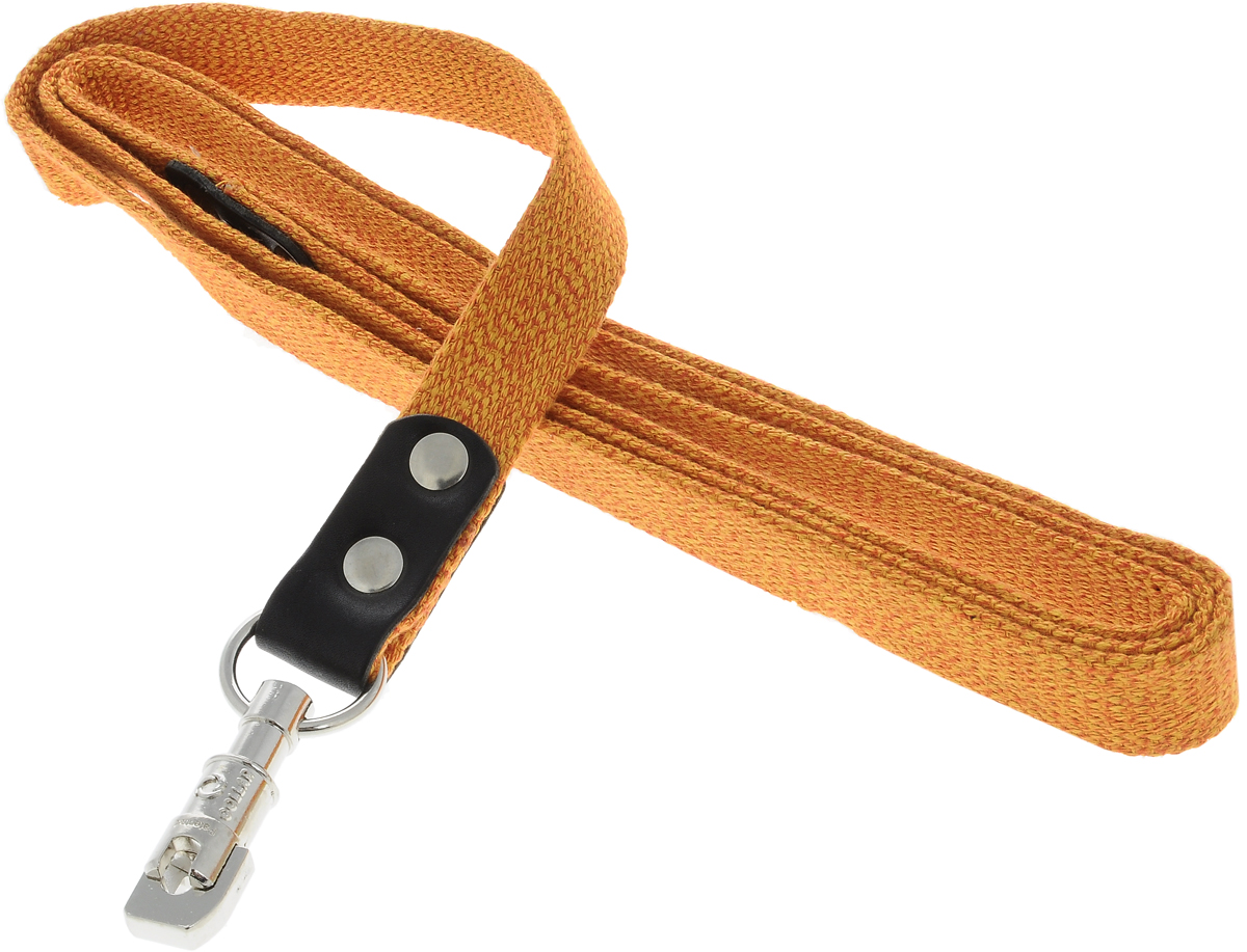 Поводок для собак CoLLaR, цвет: оранжевый, ширина 2,5 см, длина 2 м03424 Поводок для собак CoLLaR, цвет: оранжевый, ширина 2,5 см, длина 2 м03424Поводок для собак CoLLaR изготовлен из хлопка и снабжен металлическим карабином. Поводок отличается не только исключительной надежностью и удобством, но и ярким дизайном. Он идеально подойдет для активных собак, для прогулок на природе и охоты. Поводок - необходимый аксессуар для собаки. Ведь в опасных ситуациях именно он способен спасти жизнь вашему любимому питомцу. Длина поводка: 2 м. Ширина поводка: 2,5 см.