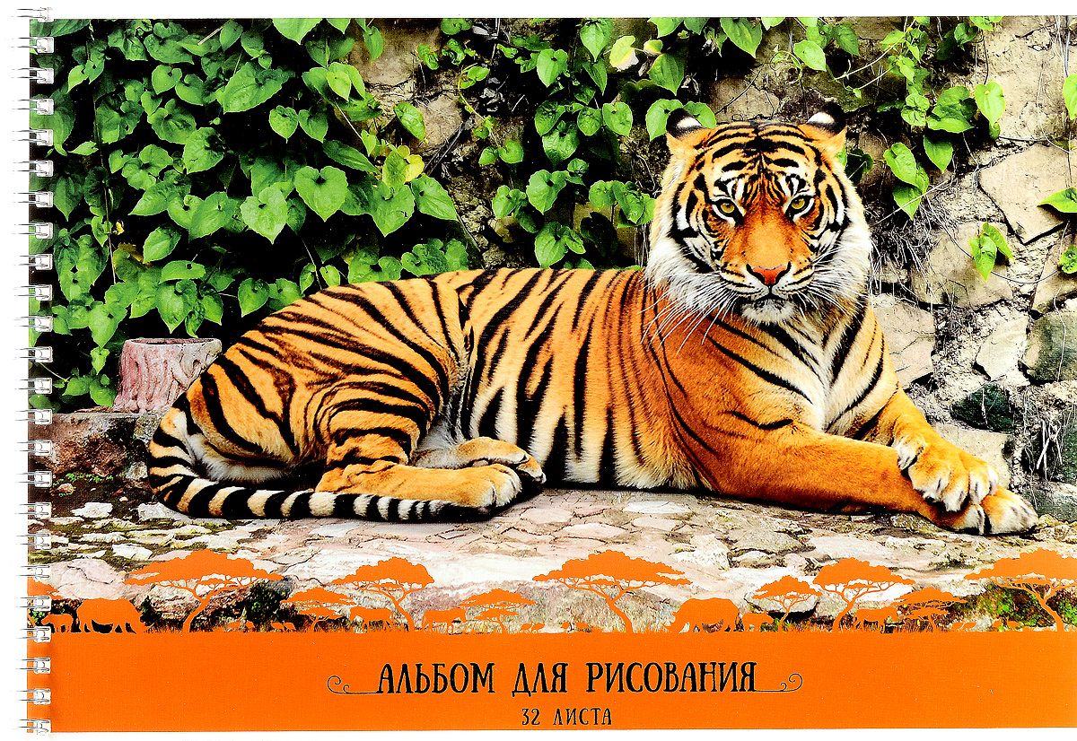 ArtSpace Альбом для рисования Тигры 32 листаА32спТС_9163 ArtSpace Альбом для рисования Тигры 32 листаА32спТС_9163Альбом для рисования ArtSpace Тигры непременно порадует маленького художника и вдохновит его на творчество. Обложка из плотного картона оформлена изображением полосатого тигра. Высокое качество бумаги позволяет карандашам, фломастерам и краскам ровно ложиться на поверхность и не растекаться по листу. Способ крепления - металлический гребень. В альбоме 32 листа. Во время рисования совершенствуется ассоциативное, аналитическое и творческое мышления. Занимаясь изобразительным творчеством, ребенок тренирует мелкую моторику рук, становится более усидчивым и спокойным и, конечно, приобщается к общечеловеческой культуре.