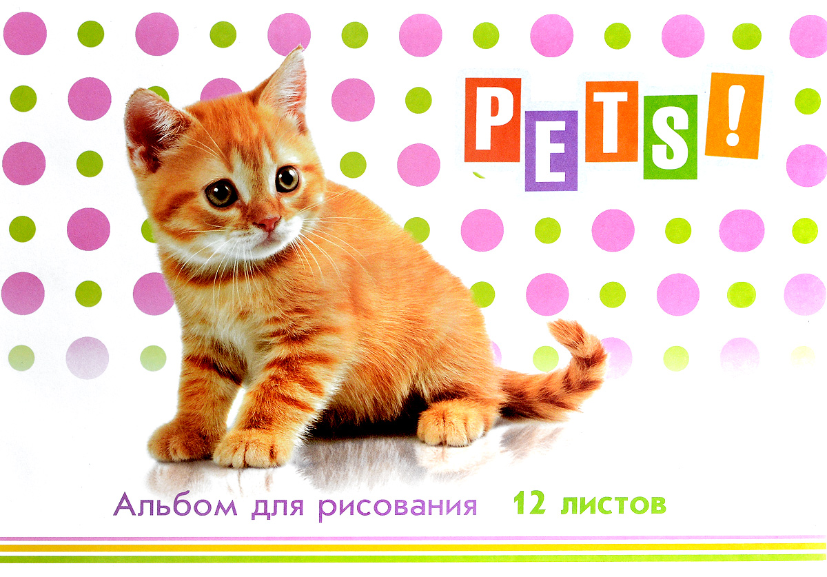 ArtSpace Альбом для рисования Питомцы Pets 12 листовА12ф_2703 ArtSpace Альбом для рисования Питомцы Pets 12 листовА12ф_2703Альбом для рисования ArtSpace Питомцы. Pets непременно порадует маленького художника и вдохновит его на творчество. Высокое качество бумаги позволяет карандашам, фломастерам и краскам ровно ложиться на поверхность и не растекаться по листу. Способ крепления - скрепки. В альбоме 12 листов. Во время рисования совершенствуется ассоциативное, аналитическое и творческое мышления. Занимаясь изобразительным творчеством, ребенок тренирует мелкую моторику рук, становится более усидчивым и спокойным и, конечно, приобщается к общечеловеческой культуре.