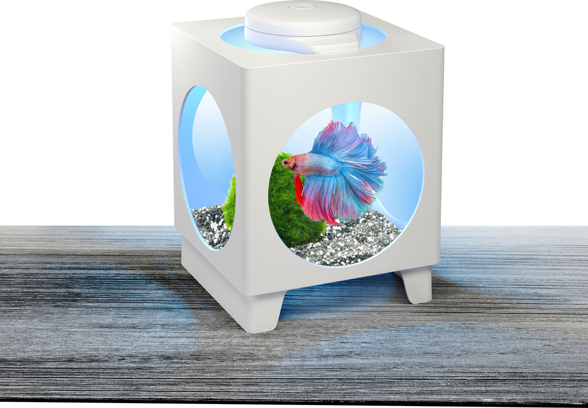 Аквариум-проектор Tetra Betta Projector, 1,8 л258938 Аквариум-проектор Tetra Betta Projector, 1,8 л258938Аквариум Tetra Betta Projector оснащен адаптером LED освещения, которое можно размещать на разных стенках аквариума, чтобы отражать проекцию прекрасных подводных пейзажей. Изделие выполнено из высококачественного пластика. В комплект входят 3 батарейки Varta типа AAA и инструкция по эксплуатации. Изменяющиеся цвета освещения RGB LEDs: красный, синий, зеленый. Объем аквариума: 1,8 л.