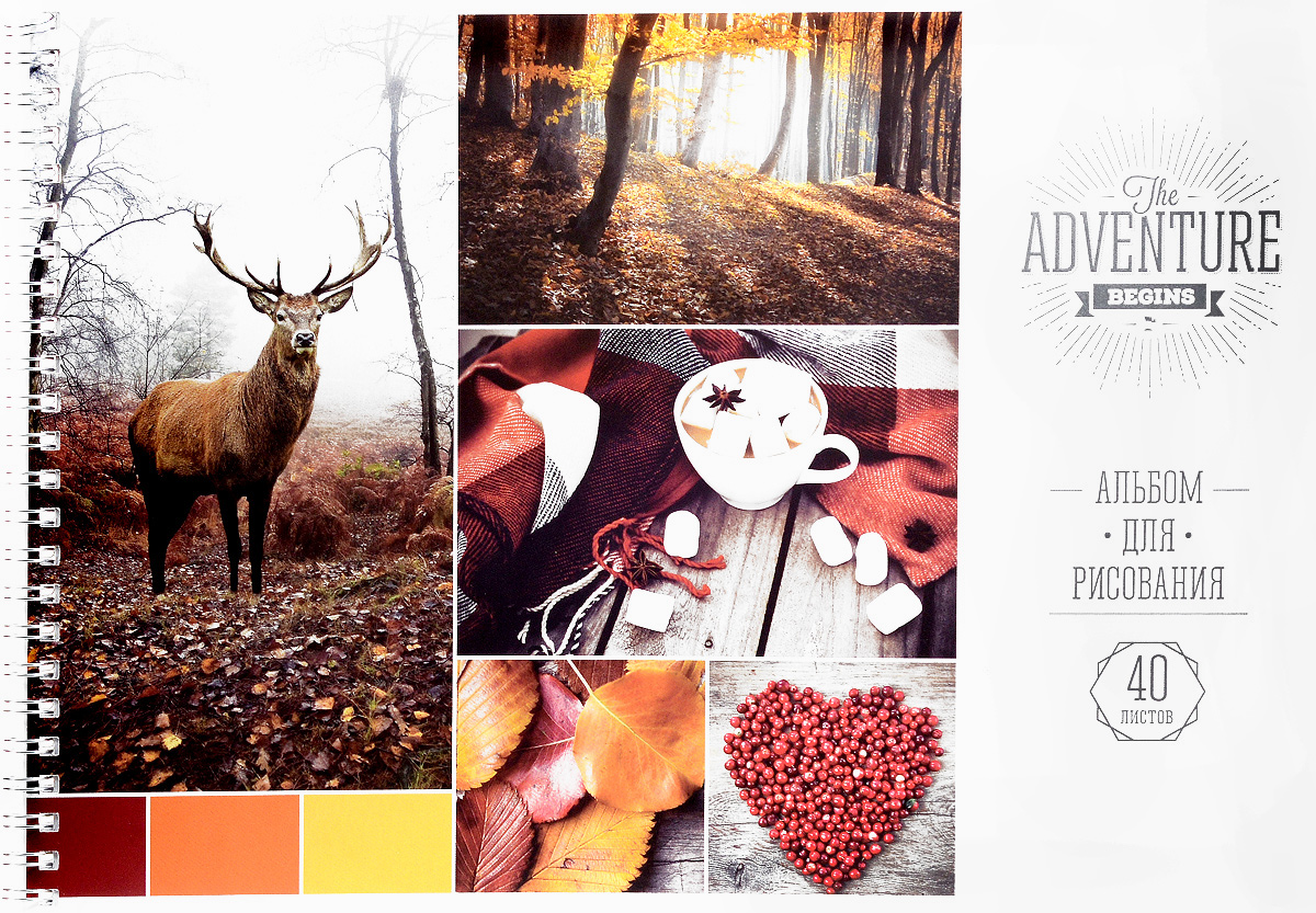 ArtSpace Альбом для рисования Стиль The adventure 40 листовА40спТЛ_9193 ArtSpace Альбом для рисования Стиль The adventure 40 листовА40спТЛ_9193Альбом для рисования ArtSpace Стиль. The adventure будет вдохновлять ребенка на творческий процесс. Альбом изготовлен из белоснежной бумаги с яркой обложкой из плотного картона, оформленной изображениями разных проявлений осени. Внутренний блок альбома состоит из 40 листов бумаги. Способ крепления - гребень. Высокое качество бумаги позволяет рисовать в альбоме карандашами, фломастерами, акварельными и гуашевыми красками. Во время рисования совершенствуются ассоциативное, аналитическое и творческое мышления. Занимаясь изобразительным творчеством, малыш тренирует мелкую моторику рук, становится более усидчивым и спокойным.