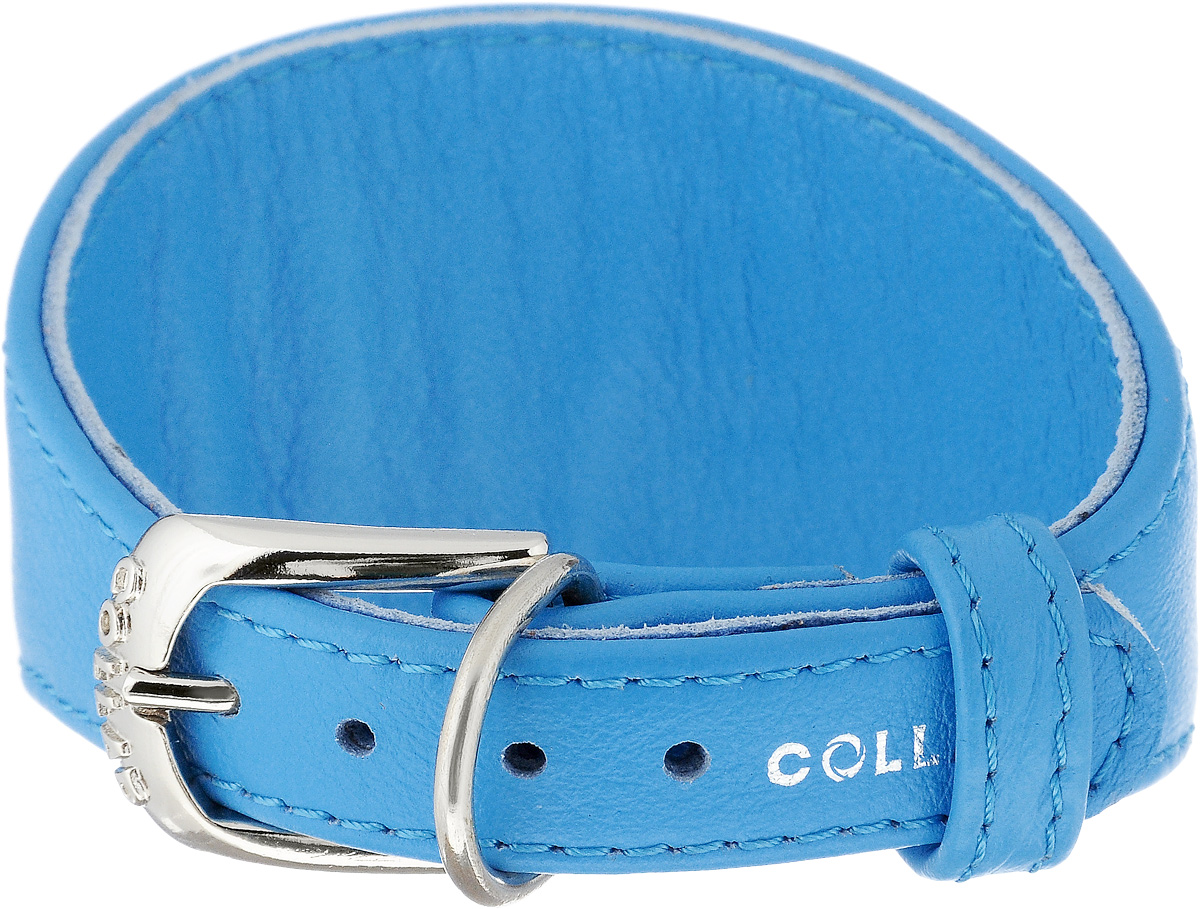 Ошейник для борзых собак CoLLaR Glamour, цвет: голубой, ширина 1,5 см, обхват шеи 23-27 см34642 Ошейник для борзых собак CoLLaR Glamour, цвет: голубой, ширина 1,5 см, обхват шеи 23-27 см34642Ошейник для борзых собак CoLLaR Glamour, выполненный из натуральной кожи, устойчив к влажности и перепадам температур. Крепкие металлические элементы делают ошейник надежным и долговечным. Изделие отличается высоким качеством, удобством и универсальностью. Размер ошейника регулируется при помощи пряжки, зафиксированной на одном из 5 отверстий. Минимальный обхват шеи: 23 см. Максимальный обхват шеи: 27 см. Минимальная ширина: 1,5 см. Максимальная ширина: 5 см.