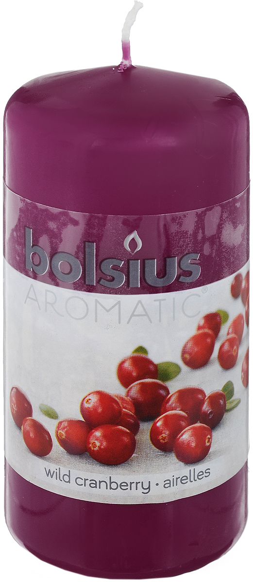 Свеча ароматическая Bolsius Клюква, 6 х 6 х 11,5 см103626640189 Свеча ароматическая Bolsius Клюква, 6 х 6 х 11,5 см103626640189Свеча ароматическая Bolsius Клюква создаст в доме атмосферу тепла и уюта. Свеча приятно смотрится в интерьере, она безопасна и удобна в использовании. Свеча создаст приятное мерцание, а сладкий манящий аромат окутает вас и подарит приятные ощущения.