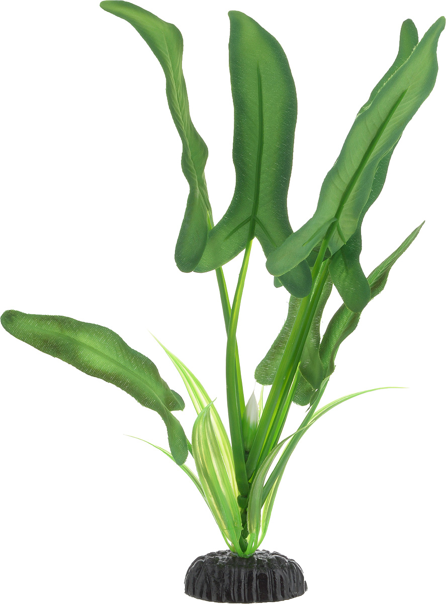 Растение для аквариума Barbus Анубиас Хастифолия, шелковое, высота 20 смPlant 035/20 Растение для аквариума Barbus Анубиас Хастифолия, шелковое, высота 20 смPlant 035/20Растение для аквариума Barbus Анубиас Хастифолия, выполненное из качественного шелка, станет оригинальным украшением вашего аквариума. В воде происходит абсолютная имитация живого растения. Можно использовать в любой воде: пресной или морской. Изделие полностью безопасно для обитателей аквариума, не токсично, нейтрально к водному балансу, устойчиво к истиранию краски. Растение Barbus поможет вам смоделировать потрясающий пейзаж на дне вашего аквариума или террариума. Высота растения: 20 см.