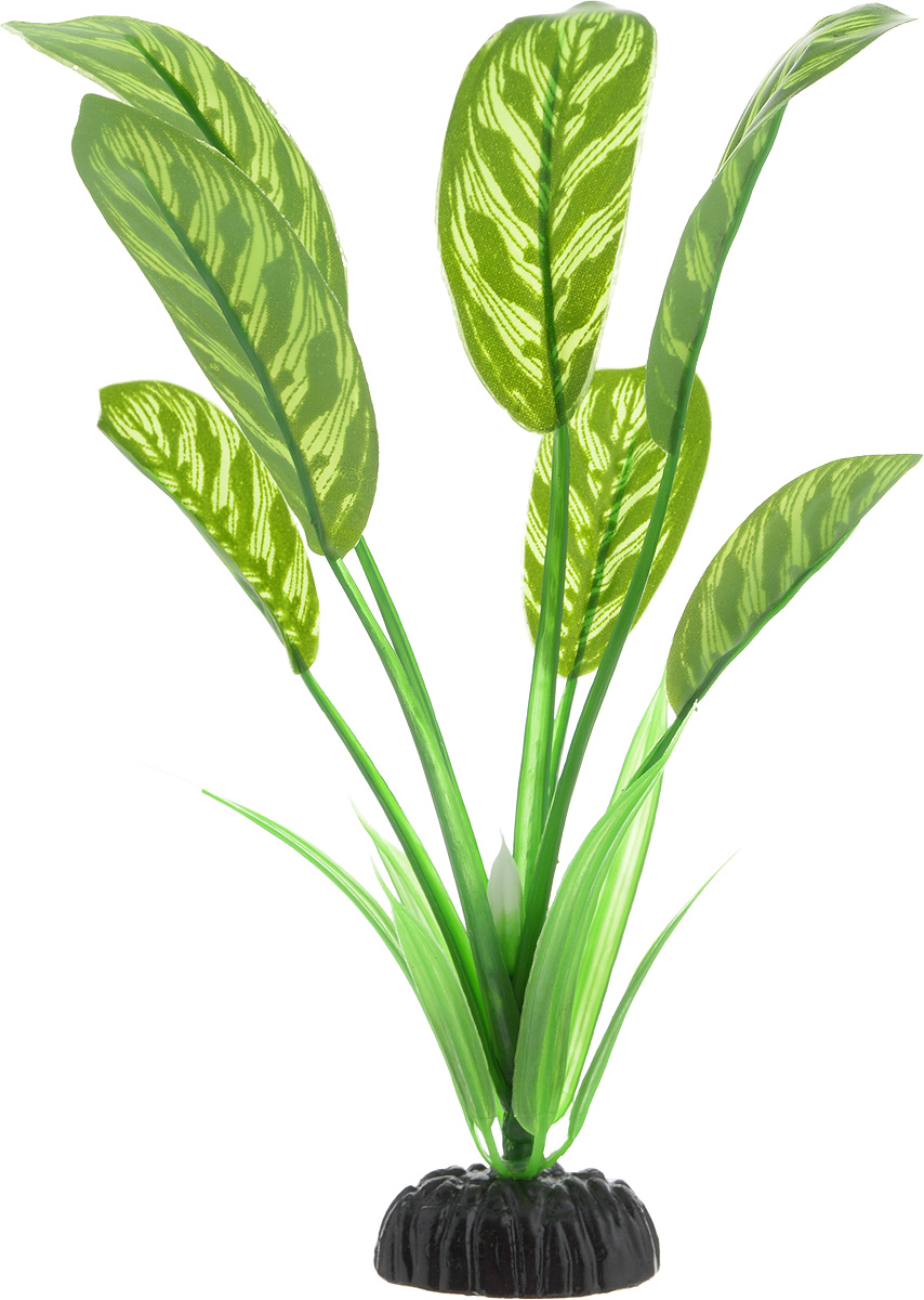 Растение для аквариума Barbus Диффенбахия тигровая, шелковое, высота 20 смPlant 036/20 Растение для аквариума Barbus Диффенбахия тигровая, шелковое, высота 20 смPlant 036/20Растение для аквариума Barbus Диффенбахия тигровая, выполненное из качественного шелка, станет прекрасным украшением вашего аквариума. Шелковое растение идеально подходит для дизайна всех видов аквариумов. В воде происходит абсолютная имитация живых растений. Изделие не требует дополнительного ухода и просто в применении. Растение абсолютно безопасно, нейтрально к водному балансу, устойчиво к истиранию краски, подходит как для пресноводного, так и для морского аквариума. Растение для аквариума Barbus поможет вам смоделировать потрясающий пейзаж на дне вашего аквариума или террариума. Высота растения: 20 см.