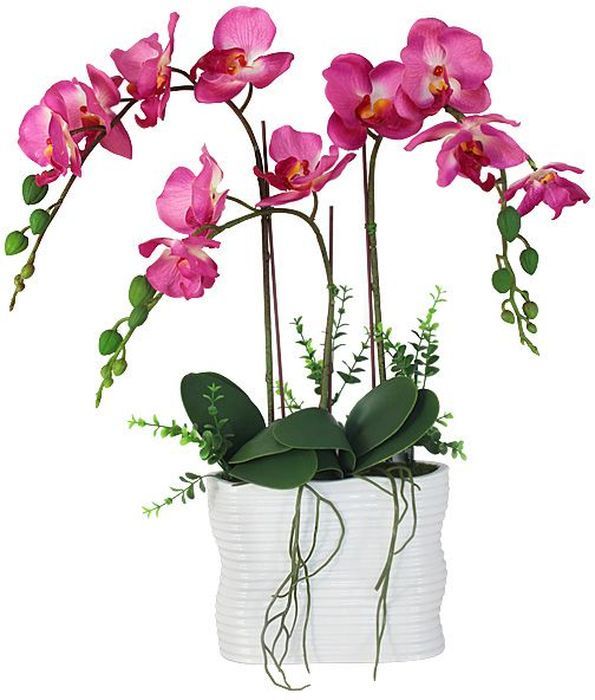 Декоративные цветы Dream Garden Орхидея тем розовая, в вазе, 19,х8х46см. DG-15018-N-ALDG-15018-N-AL Декоративные цветы Dream Garden Орхидея тем розовая, в вазе, 19,х8х46см. DG-15018-N-ALDG-15018-N-ALДекор.цветы Орхидея тем розовая в керам вазе 19.х8х46см Торговая марка Dream Garden, Китай. Композиции из искусственных цветов долговечны, не требуют ежедневного ухода, выполнены из натуральных шелка и текстиля, прошедших специальную обработку высококачественными современными материалами. Искусственные цветы максимально приближены к натуральным, не пахнут, что исключает все аллергические реакции.