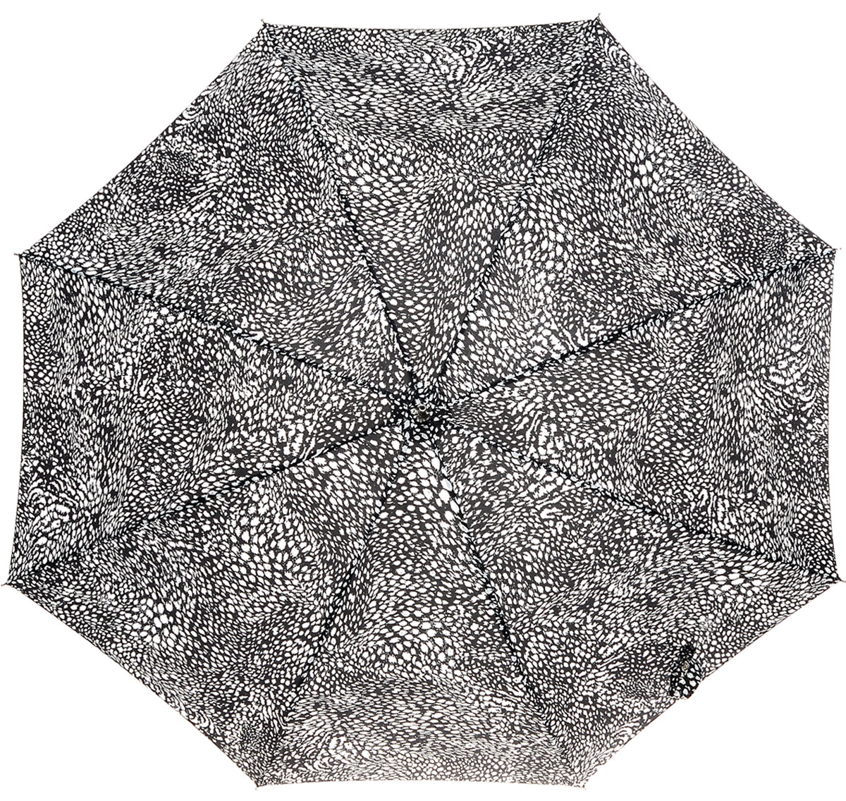 Зонт-трость женский Fulton Eliza, механический, цвет: черный, белый. L600-2632L600-2632 FeatherSwirl Зонт-трость женский Fulton Eliza, механический, цвет: черный, белый. L600-2632L600-2632 FeatherSwirlМодный механический зонт-трость Fulton Eliza даже в ненастную погоду позволит вам оставаться стильной и элегантной. Каркас зонта включает 8 спиц из фибергласса. Стержень изготовлен из стали. Купол зонта выполнен из прочного полиэстера и оформлен принтом в виде мелких пятнышек. Изделие дополнено удобной рукояткой из пластика. Зонт механического сложения: купол открывается и закрывается вручную до характерного щелчка. Модель застегивается с помощью хлястика на кнопку. Такой зонт не только надежно защитит вас от дождя, но и станет стильным аксессуаром, который идеально подчеркнет ваш неповторимый образ.