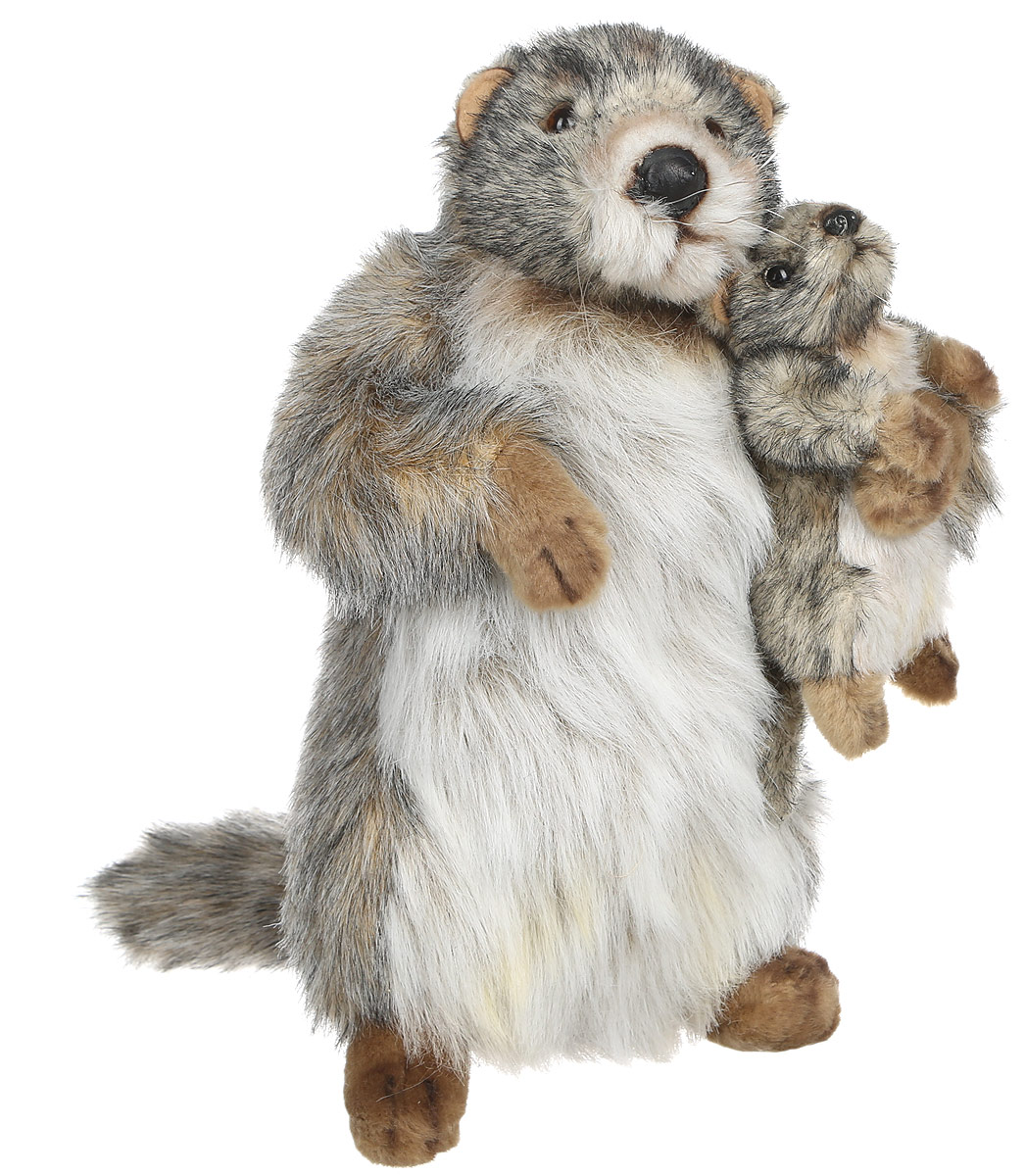Hansa Toys Мягкая игрушка Сурок с детенышем 32 см4162 Hansa Toys Мягкая игрушка Сурок с детенышем 32 см4162Мягкая игрушка Hansa Toys Сурок с детенышем обязательно покорит сердце малыша. Ребенок не захочет расставаться со своим пушистым другом ни на секунду, ведь с ним можно отправиться в гости, на прогулку или к бабушке в деревню. У игрушки длинная мягкая шерстка. Глазки выполнены из пластика. Всего на Земле насчитывают 15 видов сурков. В древние времена их прародители жили в Америке, но постепенно зверьки переселялись в Азию и обживали разные территории. Длина тела достигает 60 см (без учета хвоста), а вес - до 10,5 кг. Сурки травоядны, селятся в норах, имеют теплый мех. Зимой впадают в спячку. Играя с мягкой игрушкой, ребенок не будет ограничивать свою фантазию, ведь с ней можно придумывать много сюжетов.