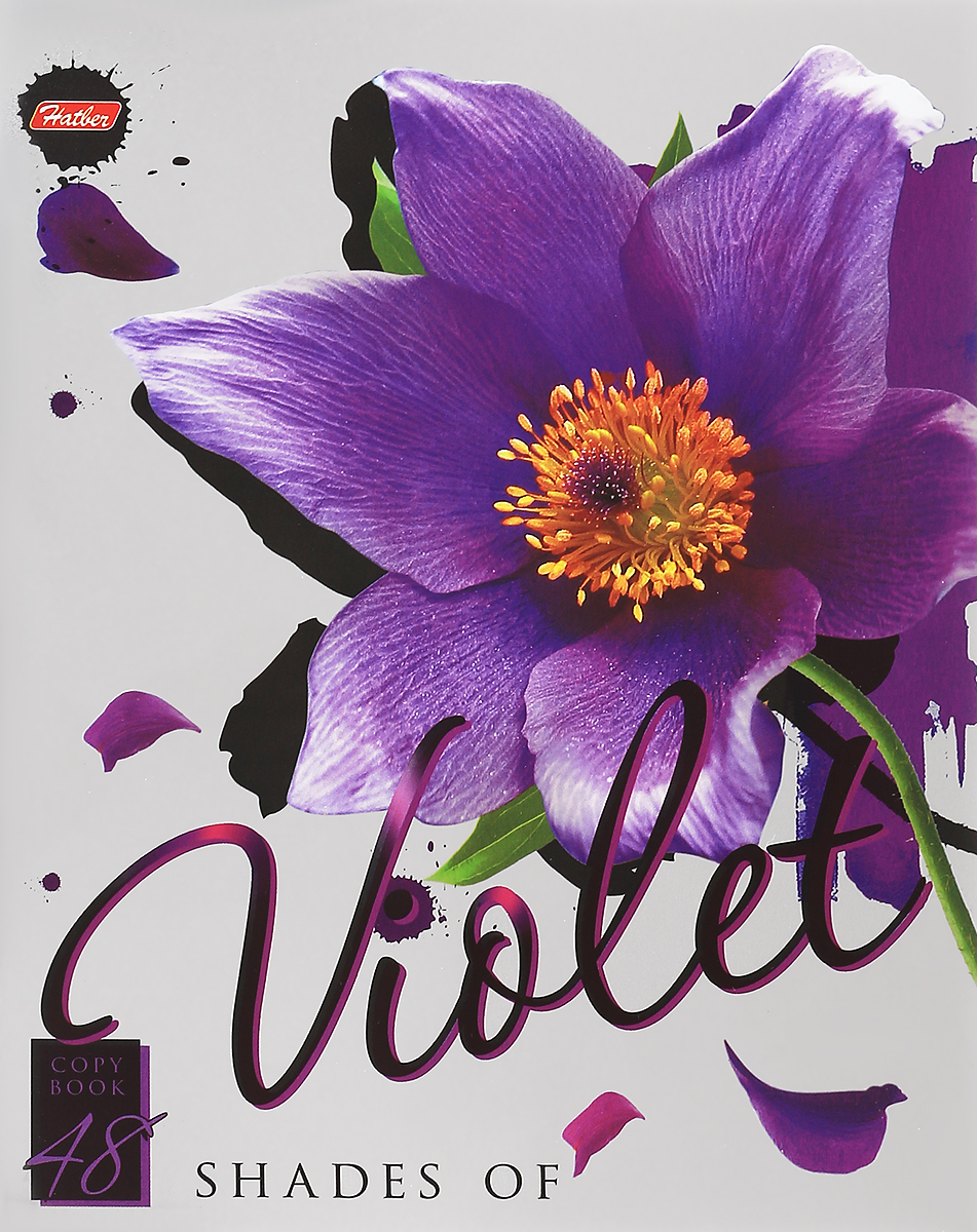 Hatber Тетрадь Violet 48 листов в клетку Hatber Тетрадь Violet 48 листов в клетку