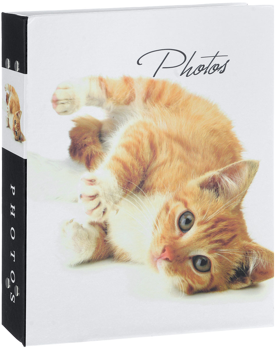 Фотоальбом Platinum Кошки - 2, 200 фотографий, 10 х 15 см, цвет: белый, рыжий. PP-46200S21828_котёнок/PP-46200S Фотоальбом Platinum Кошки - 2, 200 фотографий, 10 х 15 см, цвет: белый, рыжий. PP-46200S21828_котёнок/PP-46200SФотоальбом Platinum Кошки - 2 поможет красиво оформить ваши фотографии. Обложка выполнена из толстого картона и декорирована изображением котенка. Внутри содержится блок из 50 листов с фиксаторами-окошками из полипропилена. Альбом рассчитан на 200 фотографий формата 10 х 15 см (по 2 фотографии на странице). Нам всегда так приятно вспоминать о самых счастливых моментах жизни, запечатленных на фотографиях. Поэтому фотоальбом является универсальным подарком к любому празднику. Количество листов: 50.