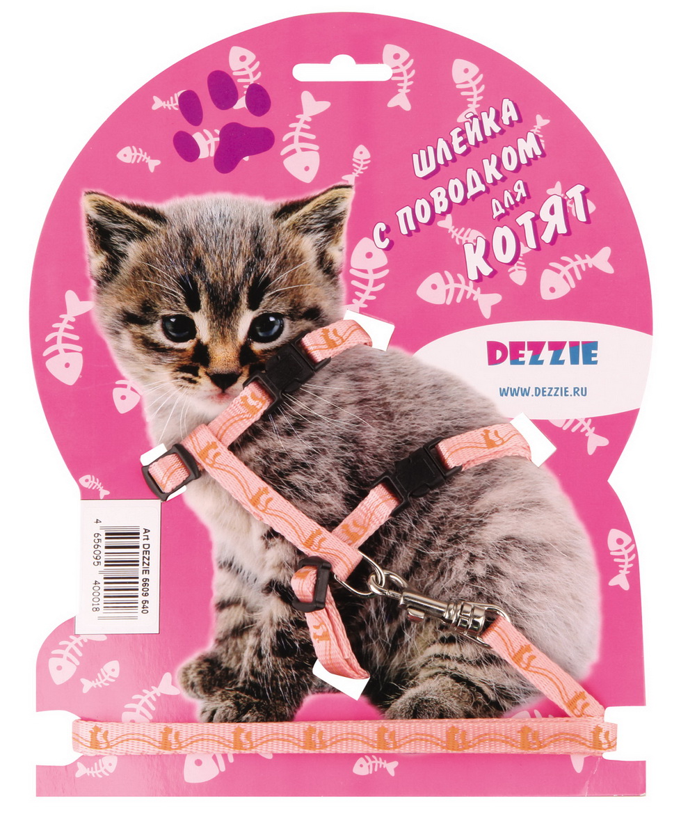 Всё для кошек Всё для кошек