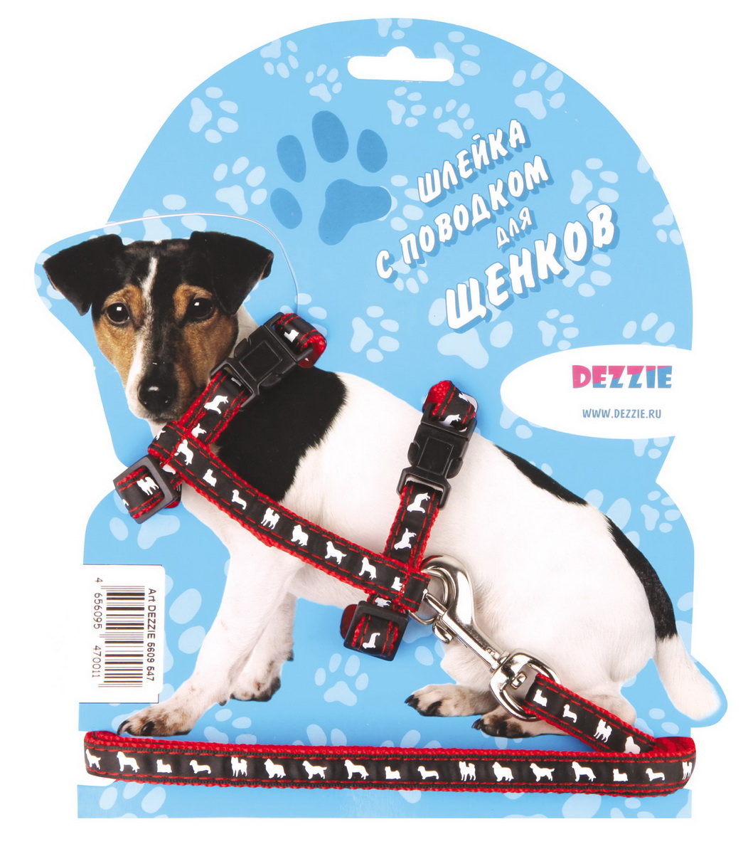 Шлейка для щенков Dezzie, с поводком, ширина 1 см, обхват груди 24-40 см. 56095475609547 Шлейка для щенков Dezzie, с поводком, ширина 1 см, обхват груди 24-40 см. 56095475609547Шлейка Dezzie, изготовленная из прочного нейлона, подходит для щенков малых размеров. Крепкие пластиковые элементы делают ее надежной и долговечной. Обхват шлейки регулируется при помощи пряжек. В комплект входит поводок из нейлона, который крепится к шлейке с помощью металлического карабина. Шлейка и поводок оформлены изображением собак. Шлейка - это альтернатива ошейнику. Правильно подобранная шлейка не стесняет движения питомца, не натирает кожу, поэтому животное чувствует себя в ней уверенно и комфортно. Обхват груди: 24-40 см. Ширина шлейки/поводка: 1 см. Длина поводка: 120 см. Длина ошейника: 17-24 см.