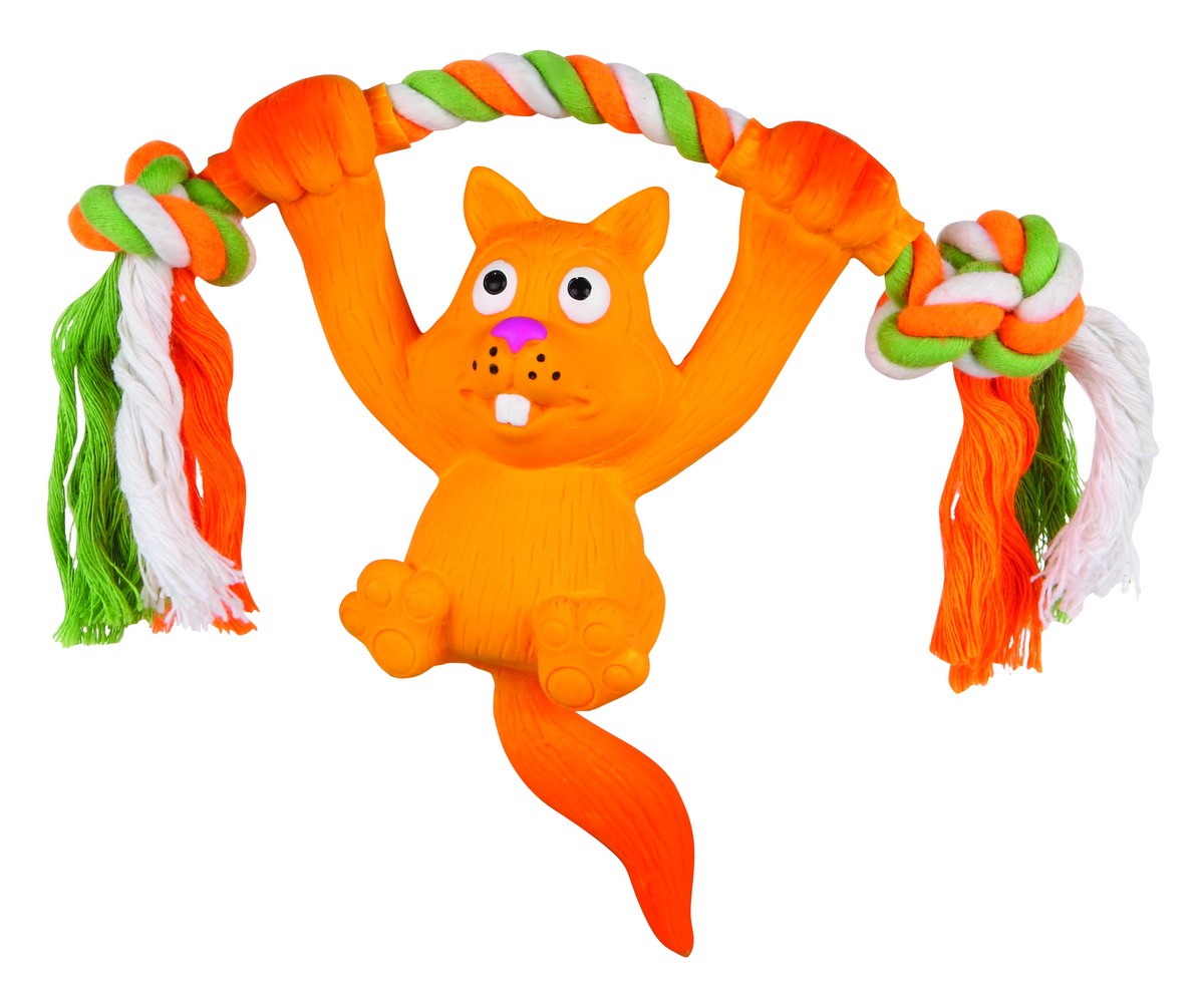 Игрушка для собак Dezzie Белка на веревке, 14 см5620102 Игрушка для собак Dezzie Белка на веревке, 14 см5620102Игрушка для собак Dezzie Белка на веревке изготовлена из латекса. Она безопасна для здоровья животного. Латекс не твердеет под действием желудочного сока, поэтому игрушку можно смело покупать даже самым маленьким щенкам. Очаровательная игрушка обеспечит досуг собаке и не позволит ей скучать.
