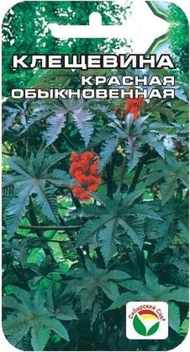 Семена Сибирский сад Клещевина красная. Обыкновенная, 5 штBP-00000229 Семена Сибирский сад Клещевина красная. Обыкновенная, 5 штBP-00000229Это интересное высокорослое растение с крупными листьями можно смело назвать сибирской пальмой, достигающей за один год огромных размеров Декоративное растение из семейства Мальвовые высотой до 1,5-2 м. Ценится за крупные красивые листья темно-красной окраски. Теплолюбива, светолюбива и довольно засухоустойчива. Предпочитает участки с плодородной и хорошо обработанной почвой. Выращивается рассадным способом. Посев проводят в начале апреля в горшочки по 2-3 шт. Всходы появляются через 10-12 дней. Рассаду высаживают в открытый грунт в начале июня на расстоянии 50-60 см. Используется в оформлении участка. Для подкормки используют минеральные комплексные удобрения. Для ускорения процесса всхожести семян, оздоровления растений, улучшения завязываемости плодов рекомендуется пользоваться специально разработанными стимуляторами роста и развития растений.