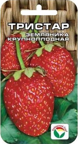 Семена Сибирский сад Клубника. Тристар, 10 штBP-00000236 Семена Сибирский сад Клубника. Тристар, 10 штBP-00000236Один из лучших современных ремонтантных зимостойких сортов. Куст компактный. Ягоды крупные, массой 25-30 грамм, конической формы, темно- красные, блестящие, транспортабельные. Высокое содержание сахара сочетается с десертным вкусом ягод. Ценная особенность сорта - повторное плодоношение в конце лета. Урожай формируется не только на материнском растении, но и на усах. Важнейшее условие получения высоких урожаев для данного сорта - регулярные обильные поливы и органические подкормки не реже 1 раза в неделю. Внимание! Семена клубники туговсхожие! Необходимо строго соблюдать посевной режим! Всходы чаще всего появляются неравномерно в течение 30-40 дней (до 60 дней). Сеять семена на рассаду можно в различное время года, однако лучшее время для посева - зима (конец января - март). Подготовка почвенной смеси заключается в следующем: 3 части песка перемешивают с 5 частями рассыпчатого перегноя и прогревают в духовом шкафу 3-4 часа при температуре ...