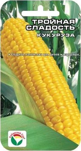 Семена Сибирский сад Кукуруза. Тройная сладость, 10 штBP-00000239 Семена Сибирский сад Кукуруза. Тройная сладость, 10 штBP-00000239Необычайно сладкий раннеспелый сорт. От всходов до технической спелости 100 дней. Растения высотой 160-200 см формируют большое количество початков длиной 16-20 см, средней массой 200 г. Зерно высоких вкусовых качеств, богато сахарами, белками, витаминами B2 и РР. Идеально подходит для употребления в свежем виде, консервирования и заморозки. Сорт устойчив к резким переменам погодных условий, высокоурожаен. Условия выращивания: через рассаду или семенами в открытый грунт. Семена перед посадкой замачивают на сутки в воде. Посев в открытый грунт, когда минует угроза возвратных заморозков, при прогревании почвы до +12°С. Глубина заделки семян до 5 см. Уход: прополка, рыхление, окучивание перед образованием метелок. Полив по мере необходимости. Хорошо отзывается на внесение органического или полного минерального удобрения до посева. Сахарную кукурузу рекомендуется выращивать отдельно от других сортов, так как перекрестное опыление снижает сладость...