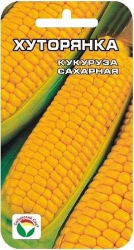 Семена Сибирский сад Кукуруза. ХуторянкаBP-00000240 Семена Сибирский сад Кукуруза. ХуторянкаBP-00000240Раннеспелый сорт алтайской селекции. Сорт среднерослый, масса початка в молочно-восковой спелости 160гр. Сорт отличается высокими показателями вкусовых и биохимических качества. Зерно очень сладкое.