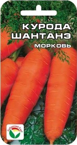 Семена Сибирский сад Морковь. Курода Шантанэ, 1 гBP-00000266 Семена Сибирский сад Морковь. Курода Шантанэ, 1 гBP-00000266Отличный среднеранний сорт. От всходов до технической спелости 105 дней. Корнеплоды крупные, слегка конической формы, длиной 20 см, весом около 250 грамм, гладкие, насыщенного оранжево-красного цвета, с маленькой сердцевиной. Мякоть сочная, очень сладкая. Сорт хорошо растет даже на тяжелых грунтах. Рекомендуется для потреблении в свежем виде, переработки, хранения. Семена не требуют замачивания. Высевают в грунт на глубину 1-1,5 см рано весной или под зиму, с междурядьями 25 см и расстоянием между растениями в рядке 3-4 см. Требует своевременного прореживания в начальный период роста или равномерного изначального посева, обеспечивающего формирование 30-40 шт. растений на 1 погонный метр. Урожайность 6-8 кг с 1 м2. Для ускорения процесса всхожести семян, оздоровления растений, улучшения завязываемости плодов рекомендуется пользоваться специально разработанными стимуляторами роста и развития растений.