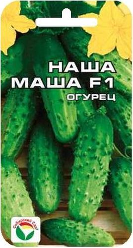 Семена Сибирский сад Огурец. Наша Маша, 7 штBP-00000308 Семена Сибирский сад Огурец. Наша Маша, 7 штBP-00000308Гибрид раннеспелый, партенокарпический, с женским типом цветения. От всходов до начала плодоношения проходит 38-42 дня. Растение среднерослое 1,5- 2 м. Плод среднебугорчатый, цилиндрический, длиной 8-10 см, с черным простым опушением, генетически без горечи. Пасынков гибрид образует не много. Вкус свежих, консервированных и соленых плодов отменный. Рекомендуется для выращивания в открытом грунте и пленочных теплицах. Урожайность 15-18 кг с 1 м2. Посев на глубину 1,5-2 см. Оптимальная температура почвы для прорастания семян 23-25°С. Плотность посадки - три растения на 1 м2. Растение укрывают пленкой, подвязывают к шпалере. Полив и подкормка органическими минеральными удобрениями в процессе вегетации. Сбор урожая через каждые 3-5 дней. Для ускорения процесса всхожести семян, оздоровления растений, улучшения завязываемости плодов рекомендуется пользоваться специально разработанными стимуляторами роста и развития растений.