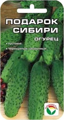 Семена Сибирский сад Огурец. Подарок СибириBP-00000312 Семена Сибирский сад Огурец. Подарок СибириBP-00000312Новый скороспелый сорт для открытого грунта и пленочных укрытий. Характеризуется интенсивным дружным плодоношением , короткоплетистым типом куста (длина плетей не более 1 м). Плоды мелкие (65-75 грамм), цилиндрической формы, с крупнобугорчатой поверхностью, шипами черного цвета, хороших и отличных вкусовых качеств в свежем, соленом и консервированном виде. Сорт достаточно высоко устойчив к основным заболеваниям огурца , стабильно урожаен. Выращивают прямым посевом семян в грунт и рассадным способом. Семена в открытый фунт высеивают, когда почва прогреется до 15-20 °С днем и не ниже 8 °С ночью. Бороздки или лунки, заполненные субстратом из торфа, навозного перегноя, песка и минеральных удобрений, поливают, заделывают в них семена на глубину 1,5-2,0 см, мульчируют торфом или перепревшим навозом и накрывают пленкой. В остекленные или пленочные теплицы, тоннели с начала мая высеивают семена или с середины мая высаживают 20-25-дневную рассаду, имеющую 3-5 настоящих листьев.