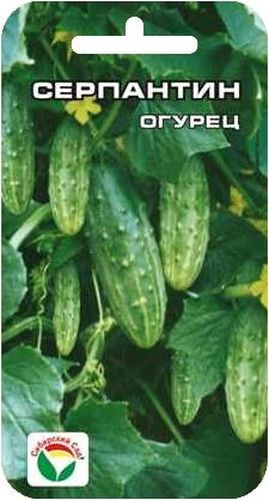 Семена Сибирский сад Огурец. Серпантин, 15 штBP-00000316 Семена Сибирский сад Огурец. Серпантин, 15 штBP-00000316Ранний урожайный сорт для выращивания в открытом грунте и временных пленочных укрытиях. В плодоношение вступает на 36-38 день от всходов. Растение короткоплетистое, кустового типа. Зеленцы красивые, некрупные, средней массой 75-82 г. Имеют хорошие вкусовые качества в свежем и соленом виде. Сорт устойчив к комплексу основных болезней, неприхотлив к агротехнике и экологическим условиям. Хорошо переносит засуху. Обладает высокой интенсивностью отдачи раннего урожая. Полив и подкормка органическими и минеральными удобрениями в процессе вегетации. Для ускорения процесса всхожести семян, оздоровления растений, улучшения завязываемости плодов рекомендуется пользоваться специально разработанными стимуляторами роста и развития растений.