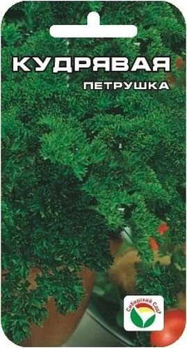 Семена Сибирский сад Петрушка. Кудрявая, 1 гBP-00000367 Семена Сибирский сад Петрушка. Кудрявая, 1 гBP-00000367Петрушка имеет привлекательный декоративный вид, обладает приятным ароматом. Период от всходов до технической спелости 70-80 дней. После срезки зелень длительное время сохраняет свежесть. Отличается холодостойкостью, хорошо зимует и рано дает свежую зелень весной. Используют в свежем и сушеном виде как душистую и высоковитаминную приправу в кулинарии. Для ускорения процесса всхожести семян, оздоровления растений, улучшения завязываемости плодов рекомендуется использовать специально разработанные стимуляторы роста и развития растений.