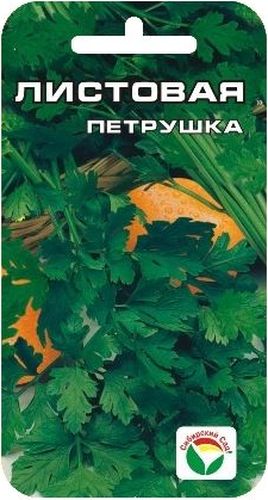 Семена Сибирский сад Петрушка. ЛистоваяBP-00000368 Семена Сибирский сад Петрушка. ЛистоваяBP-00000368Среднеспелый сорт. Дает мощную зеленую розетку. Листья крупные, ярко-зеленые, сочные. Сорт зимостойкий, быстро отрастает после срезки.