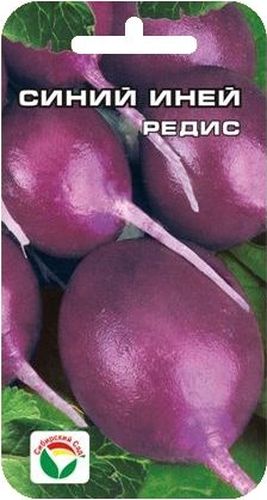 Семена Сибирский сад Редис. Синий иней, 2 гBP-00000392 Семена Сибирский сад Редис. Синий иней, 2 гBP-00000392Новый раннеспелый сорт сибирской селекции с оригинальной окраской плодов. Срок созревания 20-25 дней. Корнеплоды сине-фиолетого цвета, овальной формы, массой до 25 г, долго не дрябнут. Мякоть плотная, хрустящая, нежная и сочная. Сорт практически не подвергается стрелкованию, поэтому пригоден для выращивания в течение всего лета. Семена высеивают в ранневесенние сроки по мере созревания почвы, либо летом. Глубина заделки семян 1,5-2 см. Для ускорения процесса всхожести семян, оздоровления растений, улучшения завязываемости плодов рекомендуется использовать специально разработанные стимуляторы роста и развития растений. Вес: 2 г.