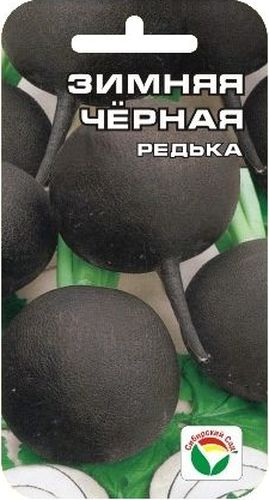 Семена Сибирский сад Редька. Зимняя черная, 1 гBP-00000395 Семена Сибирский сад Редька. Зимняя черная, 1 гBP-00000395Сорт среднеспелый, период от полных всходов до технической спелости 70-93 дня. Корнеплод черный, плоскоокруглый или округлый, длиной 9-11 см, диаметром 8-12 см. Поверхность гладкая или слегка бороздчатая. Мякоть белая, плотная, сочная, остро-сладкого вкуса. Корнеплод погружен в почву полностью. Выдергивается хорошо. Масса корнеплода 248-550 г. Лежкость в период зимнего хранения хорошая 86-98%. Урожайность - 700 г с 1 м2. Сорт районирован повсеместно.