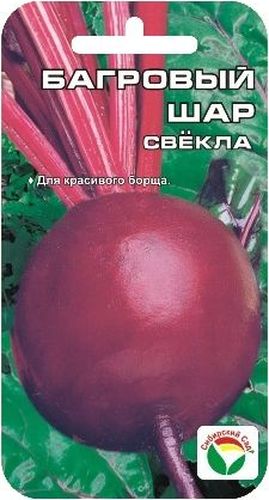 Семена Сибирский сад Свекла. Багровый шар, 2 гBP-00000412 Семена Сибирский сад Свекла. Багровый шар, 2 гBP-00000412Среднеспелый урожайный сорт с шаровидными выровненными корнеплодами массой 150-190 г. Красивые плоды с аккуратной розеткой листьев имеют темно- бордовый цвет мякоти без колец, вкусные и сочные, быстро варятся, прекрасно хранятся. Урожайность и товарность стабильно высокие. Сорт предназначен для использования в домашней кулинарии, длительного хранения и переработки. Посев в мае по схеме 15х30 см.