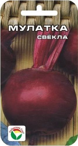 Семена Сибирский сад Свекла. Мулатка, 2 гBP-00000416 Семена Сибирский сад Свекла. Мулатка, 2 гBP-00000416Среднеспелый высокоурожайный сорт (от всходов до уборки корнеплодов 125-130 дней). Формирует темно-красные гладкие корнеплоды округлой формы, массой 160-360 г. Мякоть сочная, вкусная, нежная, без кольцеватости. Выращивается повсеместно. Отличается высокой лежкоспособностью при зимнем хранении. Семена высевают в грунт в мае на глубину 2-4 см в рядки с междурядьями 25- 30 см и расстоянием между семенами 8-10 см. Вес: 2 г.