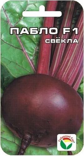 Семена Сибирский сад Свекла. Пабло F1BP-00000419 Семена Сибирский сад Свекла. Пабло F1BP-00000419Суперпопулярный скороспелый гибрид. Корнеплоды округлые, выровненные, 10-15см в диаметре, с гладкой поверхностью и тонкой кожицей, массой 200 - 300 гр.