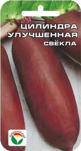 Семена Сибирский сад Свекла. Цилиндра улучшенная, 2 гBP-00000420 Семена Сибирский сад Свекла. Цилиндра улучшенная, 2 гBP-00000420Среднеспелый сорт (период от массовых всходов до технической спелости 105- 120 дней). Корнеплоды выровненные, массой 180-350 г, до 20 см в длину, диаметром до 7 см. Поверхность корнеплода гладкая, кожица мягкая, легко чистится. Мякоть очень темная, сочная без кольцеватости. Вкусовые качества высокие. Корнеплоды погружены в землю на 1/3 длины, легко выдергиваются. Рекомендуется для употребления в свежем виде и всех видов переработки. Отличается высокой устойчивостью к цветушности. Сорт урожайный, лежкий. Экономит площадь посевов. Семена высевают в грунт в мае на глубину 2-4 см в рядки с междурядьями 25-30 см. Вес: 2 г.