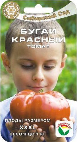 Семена Сибирский сад Томат. Бугай красный, 20 штBP-00000451 Семена Сибирский сад Томат. Бугай красный, 20 штBP-00000451Новый среднеранний сорт сибирских селекционеров с особо крупными плодами, способный противостоять холоду и жаре без заметной потери урожайности. Первые плоды вызревают уже на 115 день от появления всходов, причем вес этих малышей достигает 800-1000 г. Сорт детерминантный, пригоден для выращивания в открытом и защищенном грунте. Плодоношение пролонгированное. Общая урожайность за сезон достигает 6 кг с растения. Растение высотой до 1,5 м. Плоды красные, округло-плоские, налитые, средней массой 500 г, с прекрасно сбалансированным вкусом сахара и кислинки. Идеально подходит для летних салатов, соков. пюре и других кулинарных изысков. Отлично дозариваются. Чувствителен к недостатку бора и калия в почве. Для укрупнения плодов можно производить прищипку соцветий.