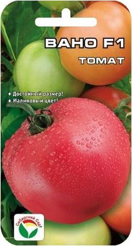 Семена Сибирский сад Томат. Вано, 15 штBP-00000462 Семена Сибирский сад Томат. Вано, 15 штBP-00000462Ранний гибрид с крупными красивыми малиновыми плодами отличных вкусовых и товарных качеств. Период от всходов до созревания 100-105 дней. Растение среднеоблиственное, детерминантного типа, вы сотой 110-130 см. Первая кисть закладывается рано, над 5-6 листом, последующие через 1-2 листа. В кисти 5-6 округлых тяжеловесных плодов массой 250-300 г интенсивно-малиновой окраски. Томаты вкусные, плотные, но не жесткие, с хорошей транспортабельностью и способностью к дозреванию без потери товарных качеств. Выход стандартных плодов 99%, урожайность за первых 2 сбора 8,7 кг/м2, потенциальная урожайность до 20 кг/м2. Гибрид устойчив к альтернаирозу и вирусу табачной мозаики. Рекомендуется для выращивания в открытом и защищенном грунте. Посев на рассаду производят за 50-60 дней до высадки растений на постоянное место. При высадке в грунт на 1 м2 размещают 3 растения. Гибрид отзывчив на внесение удобрений и технологию возделывания. Выращивается в 1-2 стебля с ...