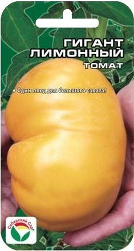 Семена Сибирский сад Томат. Гигант лимонныйBP-00000484 Семена Сибирский сад Томат. Гигант лимонныйBP-00000484Среднеспелый крупноплодный сорт. Высота растения в открытом грунте около 1,5м. Самые крупные плоды могут достигать 900 гр. Плоды ярко-желтого цвета, приплюснуто-овальной формы, мясистые, сладкие. Люди с тонким обонянием заметят присутствие легкого лимонного аромата.
