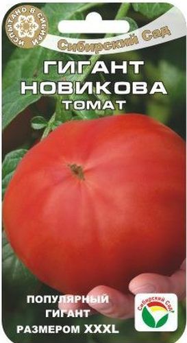 Семена Сибирский сад Томат. Гигант Новикова, 20 штBP-00000485 Семена Сибирский сад Томат. Гигант Новикова, 20 штBP-00000485Широко известный индетерминантный сорт российской селекции среднераннего срока созревания. Популярен благодаря крупным, очень вкусным мясистым плодам и гарантированно высокой урожайности сорта. Рекомендуется для выращивания в теплицах. Плоды салатного типа, с большим количеством мякоти, используются в свежем виде и для приготовления соков и соусов. Растение высотой до 2 м. В каждом соцветии формируется 4-6 плодов. Плоды огромные, плоскоокруглые, розовые с малиновым опенком, многокамерные, плотные. Средняя масса 500-600 г, но встречаются гиганты весом до 1,5 кг. Мякоть томатов сахаристая, сладкая, с кислинкой и нежным ароматом. Плоды неплохо хранятся. Урожайность сорта достигает 5-6 кг с растения. Сорт требует подвязки и пасынкования, желательно проводить нормировку двух нижних соцветий, оставляя на них не более 4 завязей. Усиленные подкормки минеральными удобрениями положительно сказываются на урожайности сорта. При необходимости защиты от...