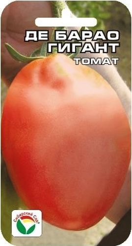 Семена Сибирский сад Томат. Де Барао гигант, 20 штBP-00000498 Семена Сибирский сад Томат. Де Барао гигант, 20 штBP-00000498Среднепоздний сорт для пленочных теплиц и открытого грунта. Растение индетерминантное. От обычного сорта Де Барао отличается большим размером плодов: 10х7 см. В кисти 4-5 кубовидных плода массой 150-300 г каждый. Плоды мясистые, сочные, необычайно вкусны в свежем виде! Сорт универсальный, пригоден для любых видов переработки. Посев на рассаду производят за 50-60 дней до высадки растений на постоянное место. Оптимальная постоянная температура прорастания семян 23-25°С. При высадке в грунт на 1 м2 размещают 3 растения. Сорт хорошо реагирует на полив и подкормки комплексными минеральными удобрениями. Выращивают в 1-2 стебля с подвязкой и пасынкованием. Для ускорения процесса всхожести семян, оздоровления растений, улучшения завязываемости плодов рекомендуется пользоваться специально разработанными стимуляторами роста и развития растений.
