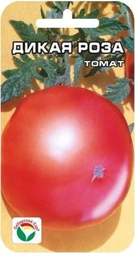 Семена Сибирский сад Томат. Дикая роза, 20 штBP-00000502 Семена Сибирский сад Томат. Дикая роза, 20 штBP-00000502Популярный среднеранний сорт с крупными и вкусными плодами розового цвета. Высота растения 1,2-1,5 м, в соцветии формирует 3-4 плоско-округлых плода массой до 500 г. Плоды красивые, ровные, ярко-розовой окраски, сочень высоким содержанием сахаров (3,4-3,7%). Урожайность сорта достигает 5-5,5 кг с растения. Сорт рекомендуется для выращивания в открытом грунте и пленочных теплицах с обязательной подвязкой к опоре и пасынкованием. При высадке в грунт на 1 м2 размещают 3 растения. Формируется в 1-2 стебля с пасынкованием и подвязкой.