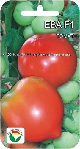 Семена Сибирский сад Томат. Ева, 15 штBP-00000511 Семена Сибирский сад Томат. Ева, 15 штBP-00000511Очень урожайный гибрид для получения ранней продукции высокого качества в открытом и защищенном грунте. Период от всходов до созревания всего 95-100 дней. Растение среднеоблиственное, невысокое, около 1 м. Первая кисть закладывается над 5-6 листом, последующие через 1-2 листа. В каждой кисти по 5-6 довольно крупных ярко-красных плодов массой до 180 г. Томаты привлекательны по форме - округлые с носиком, кроме того очень плотные и транспортабельные. Сохранность плодов после месяца хранения в нерегулируемых условиях составляет 96-100%. Выход стандартных плодов 99%, урожайность за первых два сбора- 5,5 кг/м2, на конец учетов 19 кг/м2, хорошо отрастает. Гибрид устойчив к альтернаирозу и вирусу табачной мозаики. Потенциальная урожайность 22-23 кг/м2. Посев на рассаду производят за 50-60 дней до высадки растений на постоянное место. При высадке в грунт на 1 м2 размещают 3 растения. Гибрид отзывчив на внесение удобрений и технологию возделывания. Выращивается в...