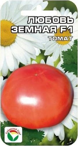 Семена Сибирский сад Томат. Любовь земная, 15 штBP-00000567 Семена Сибирский сад Томат. Любовь земная, 15 штBP-00000567Ранний крупноплодный очень урожайный гибрид для пленочных теплиц и открытого грунта. Общая урожайность достигает 23-26 кг с 1 м2. От всходов до начала созревания плодов 95-98 дней. Растение мощное, хорошо облиственное, высотой 120-130 см. Первое соцветие закладывается над 5-6 листом. В кисти формируется 5-6 красных округлых плодов, массой 200-260 г, высоких вкусовых качеств. Томаты высокотоварные, выход стандартных плодов 95%. Урожайность за первые два сбора 6-7 кг с 1 м2. При высадке в грунт на 1 м2 высаживается 4 растения. Выращивается в 2 стебля с подвязкой и пасынкованием.