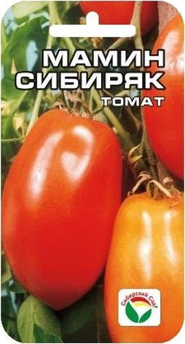 Семена Сибирский сад Томат. Мамин Сибиряк, 20 штBP-00000572 Семена Сибирский сад Томат. Мамин Сибиряк, 20 штBP-00000572Новый высокоурожайный сорт сибирских селекционеров для открытого грунта и пленочных теплиц. Куст высотой 1,2-1,5 м. Плоды красные, перцевидной формы с небольшим утолщением в нижней части, собраны в кисти по 5-7 плодов. В среднем на растении формируется 5-8 кистей. Масса плодов 100-170 г. Сорт обладает великолепными вкусовыми и засолочными качествами, прекрасно подходит для цельноплодного консервирования. Посев на рассаду проводят за 60-70 дней до высадки на постоянное место. Перед посадкой семена замачивают и высевают на глубину 1 см по схеме 3x1,5 см. Оптимальная постоянная температура прорастания семян 23-25°С. Пикировка производится после появления второго настоящего листа. При высадке в грунт на 1 м2 размещают 3-5 растений. Для получения высоких урожаев необходимо обеспечить регулярный полив и подкормки растений в процессе вегетации. Для ускорения процесса всхожести семян, оздоровления растений, улучшения завязываемости плодов рекомендуется...