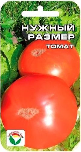 Семена Сибирский сад Томат. Нужный размер, 20 штBP-00000592 Семена Сибирский сад Томат. Нужный размер, 20 штBP-00000592Среднеспелый сорт с очень крупными плодами массой до 700 грамм. От всходов до созревания плодов 110-116 дней. Плоды красные, мясистые, крупные. Сорт салатного назначения, рекомендуется для употребления в свежем виде, приготовления соков и других видов домашней кулинарии. Урожайность до 10 кг/м2. Посев на рассаду производят за 50-60 дней до высадки растений на постоянное место. При высадке в грунт на 1 м2 размещают 3 растения. Сорт отзывчив на внесение удобрений и технологию возделывания. Выращивается в 1-2 стебля с подвязкой и пасынкованием. Для ускорения процесса всхожести семян, оздоровления растений, улучшения завязываемости плодов рекомендуется пользоваться специально разработанными стимуляторами роста и развития растений.