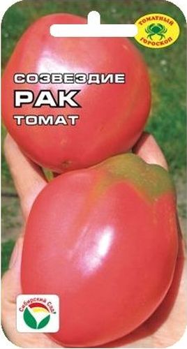Семена Сибирский сад Томат. РакBP-00000619 Семена Сибирский сад Томат. РакBP-00000619Среднеранний розовоплодный сорт. Растение индетерминантное, высотой более 1,2м., формирует до 6 кистей с 4-6 крупными плодами оригинальной удлиненно-грушевидной формы массой 200-300гр. Томаты гладкие, глянцевые, интенсивно-розового цвета с жемчужным муаром, очень вкусные.