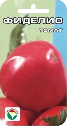 Семена Сибирский сад Томат. Фиделио, 20 штBP-00000690 Семена Сибирский сад Томат. Фиделио, 20 штBP-00000690Новый высокоурожайный крупноплодный сорт сибирской селекции, полученный в результате многолетнего отбора и адаптации к условиям Сибири сорта, завезенного с острова Куба. Сорт среднеспелый, среднерослый (100-150 см), пригоден для выращивания в открытом грунте и теплицах. Плоды крупные (300-800 г), мясистые, привлекательного муаро-розового цвета, сердцевидной формы. Сорт очень урожайный (до 6 кг с растения), хорошо завязывает плоды даже в условиях очень жаркого лета. Для получения наибольшего урожая рекомендуется высаживать не более 3-х растений на 1 м2, выращивать в 1-2 стебля, производить регулярные поливы и подкормки. Для ускорения процесса всхожести семян, оздоровления растений, улучшения завязываемости плодов рекомендуется пользоваться специально разработанными стимуляторами роста и развития растений.