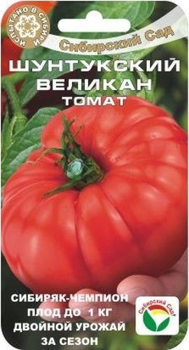 Семена Сибирский сад Томат. Шунтукский великан, 20 штBP-00000712 Семена Сибирский сад Томат. Шунтукский великан, 20 штBP-00000712Этот среднеспелый сильнорослый сорт, способный формировать воистину гигантские плоды весом до 800 г, рекомендован для выращивания в защищенном грунте. При соблюдении агротехники достигает урожайности 3-4 кг с куста. Сорт салатного назначения, плоды с большим количеством мякоти, идеально подходят для приготовления соков, пасты, лечо и многого другого. Растение индетерминантного типа, высотой до 2 м, требует формирования и подвязки. В кисти 3-4 красных, плоско-округлых, слегка ребристых плода, массой 400-800 г с отличными вкусовыми качествами. Сорт хорошо реагирует на полив и обильные подкормки комплексными минеральными удобрениями.