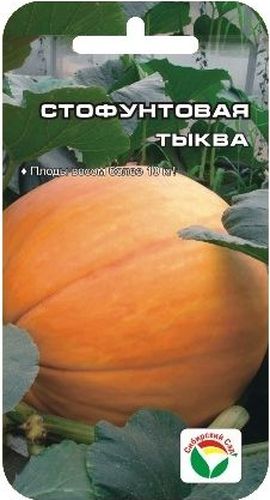 Семена Сибирский сад Тыква. Стофунтовая, 5 штBP-00000732 Семена Сибирский сад Тыква. Стофунтовая, 5 штBP-00000732Старинный русский среднеспелый сорт с очень крупными плодами массой более 10 кг. От появления всходов до созревания проходит 110-115 дней. Плоды крупные, овальные или шаровидные, с гладкой, редко - со слабо сегментированной поверхностью, желтые и оранжевые, с переходами к серому. Мякоть толстая (4-5 см), рыхлая, бело-желтая или оранжевая. Содержит 4-5% сахаров. Сорт пригоден для хранения в течение нескольких месяцев. При перевозке плоды мало повреждаются, сохраняя хороший товарный вид. Урожайность до 100 тонн с 1 га. Выращивается как рассадным способом, так и прямым посевом в грунт. Посев на рассаду - в апреле, высадка в грунт - в мае - июне. Посев непосредственно в грунт в конце мая - июне. Хорошо отзывается на внесение органических удобрений. Схема посадки 60x60 см.