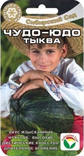 Семена Сибирский сад Тыква. Чудо-юдо, 4 штBP-00000733 Семена Сибирский сад Тыква. Чудо-юдо, 4 штBP-00000733Среднеспелый сорт мускатной тыквы с отличными вкусовыми характеристиками. Эта чудо-тыква обладает исключительно высоким содержанием каротина и сахаров, может употребляться в свежем виде как сладкие фрукты! Вегетационный период от всходов до созревания 120 дней. Растение мощное, длинноплетистое. Плоды овальные, слабосегментированные, массой 6-8 кг, способны длительно храниться в зимний период. Окраска фона коры зелено - оранжевая, различной интенсивности, с серым налетом и сетчатым рисунком. Мякоть ярко-оранжевого цвета с красным оттенком, обладает исключительно высоким содержанием каротина - 25,5 мг%, содержание сахаров - 4,25%, необыкновенно вкусная даже в сыром виде. Использование универсальное: приготовление свежих салатов, запекание, переработка на сок. Предпочитает супесчаные и легкосуглинистые почвы (чаще всего тыкву высаживают на компостные кучи). Выращивают прямым посевом в грунт либо рассадным способом через 25-30 дневную рассаду,...