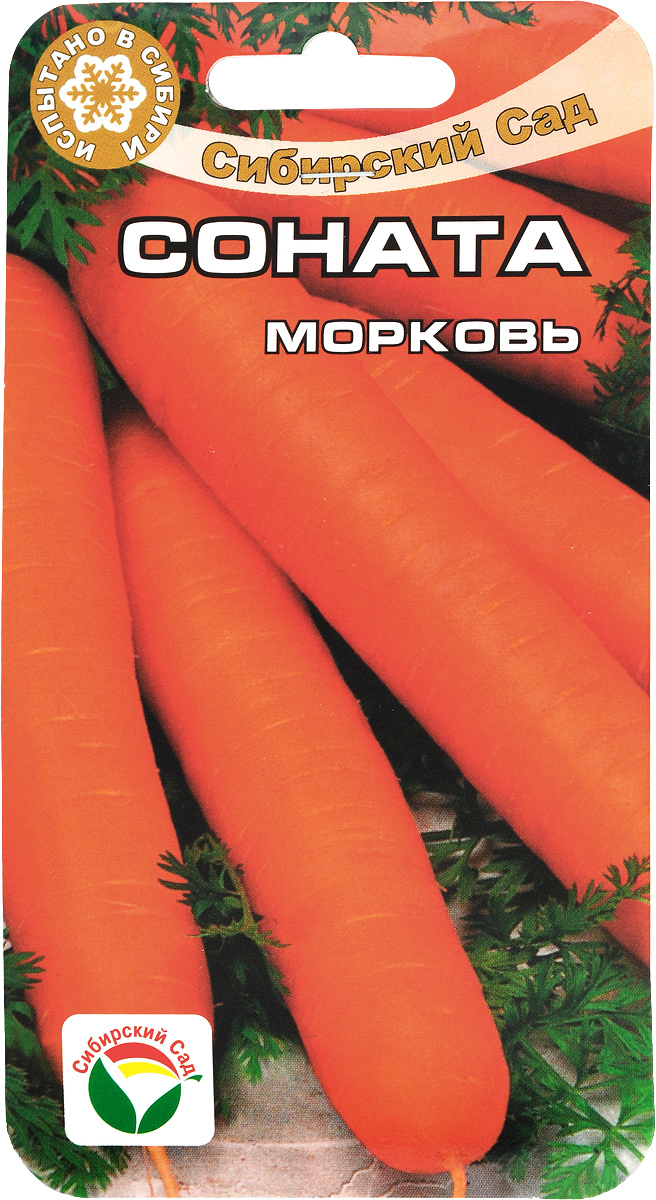 Семена Сибирский сад Морковь. Соната F1, 2 гBP-00000277 Семена Сибирский сад Морковь. Соната F1, 2 гBP-00000277Семена Сибирский сад Морковь. Соната F1, являются среднеспелым сортом сортотипа Нантская. Предпочитает хорошо окультуренные легкие почвы и 2-3 кратное междурядное рыхление в течение вегетации. Вегетационный период 100-110 дней. Корнеплод ровной конической формы с тупым кончиком. Сорт рекомендуется как для летнего потребления, так и для осенне-зимнего хранения и переработки. Длина: 12-16 см, Масса: 80-190 г, Диаметр: 4-5 см.